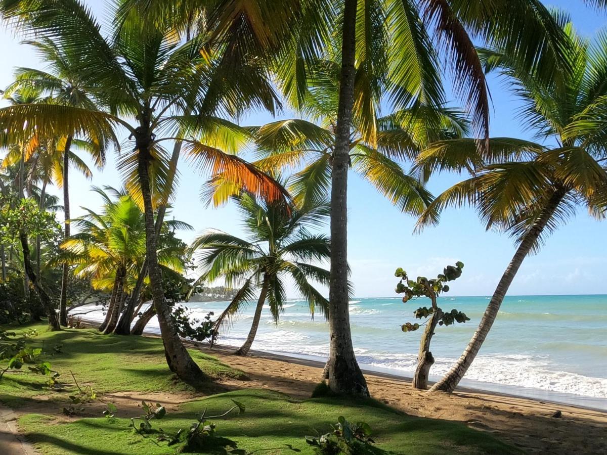 Hotel Bahia Punta Bonita Las Terrenas Eksteriør billede